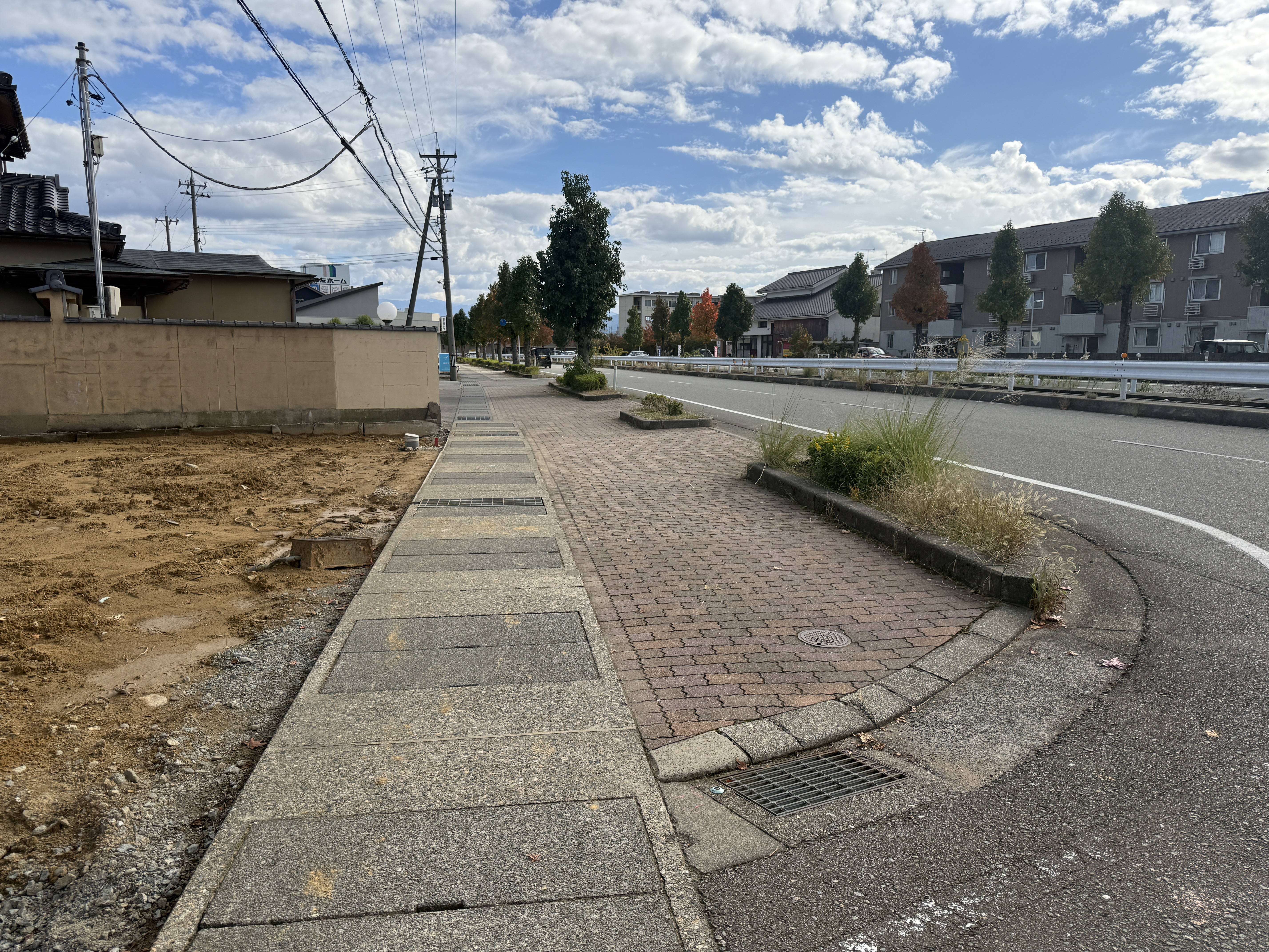 南側歩道・道路（2025年11月6日撮影）