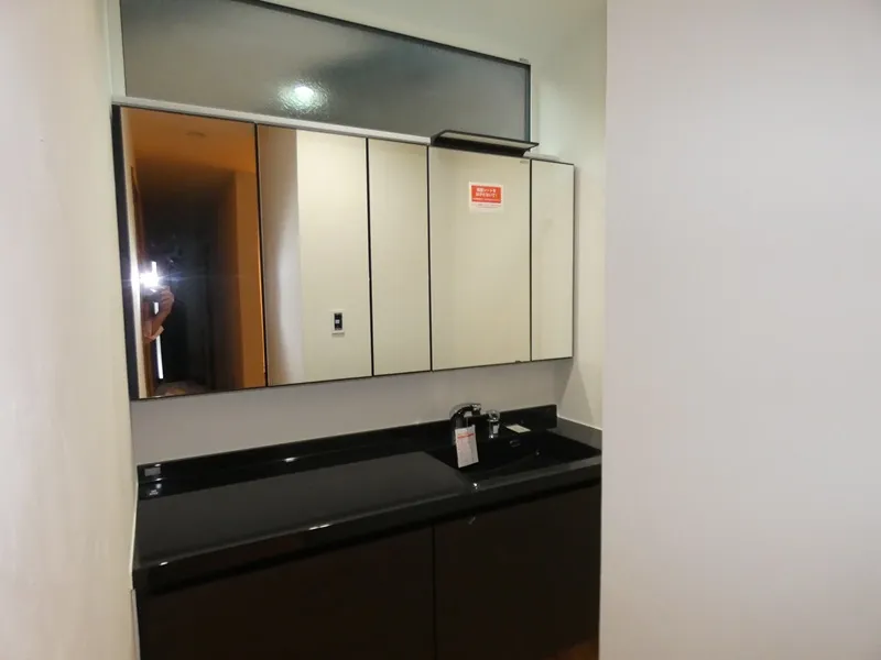 大きな洗面化粧台