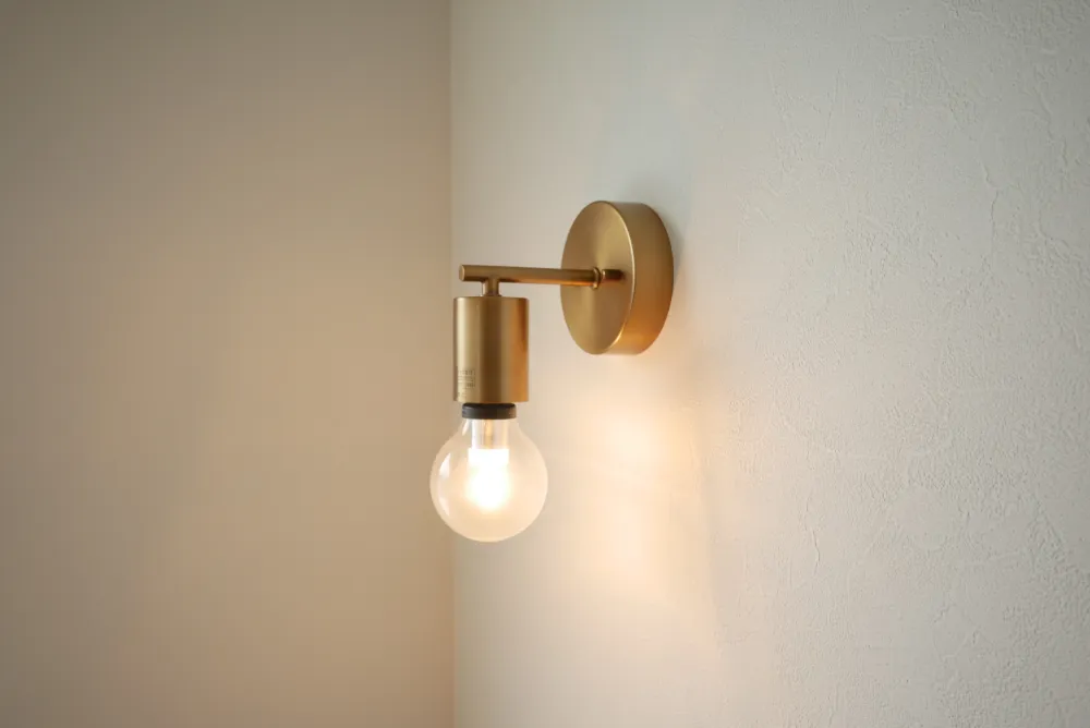 高天井から降り注ぐ自然の光に包まれる家