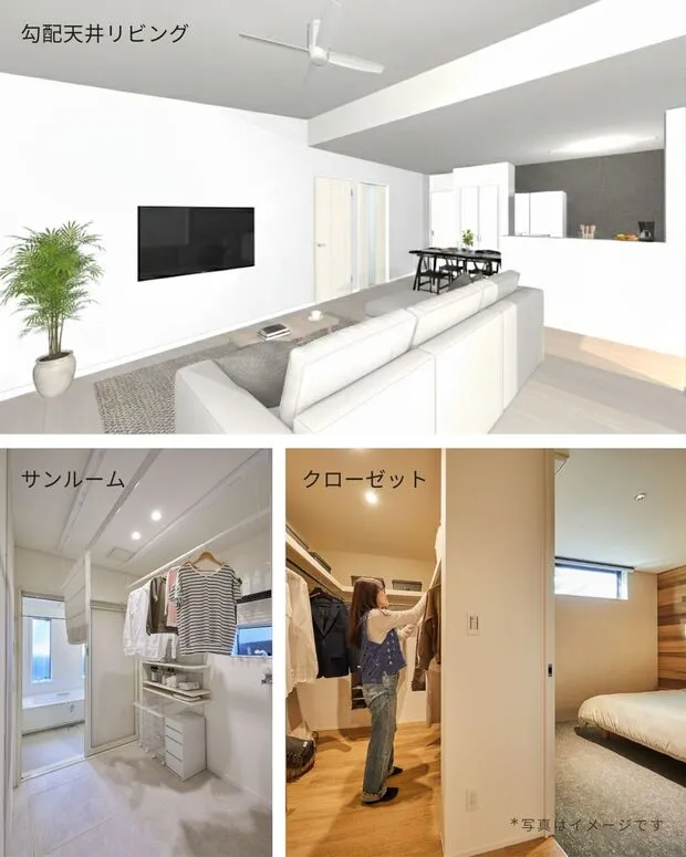 29坪３ＬＤＫ「勾配天井リビング」