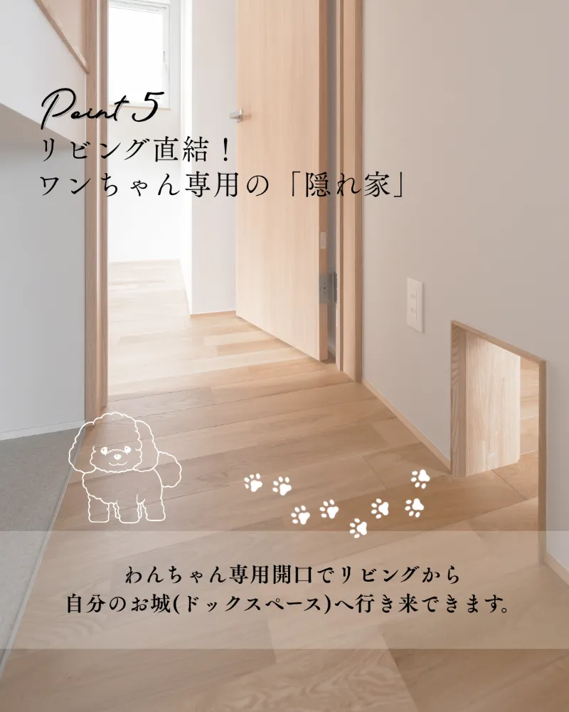OPEN HOUSE｜わんちゃんと暮らす、ジャパンディな平屋