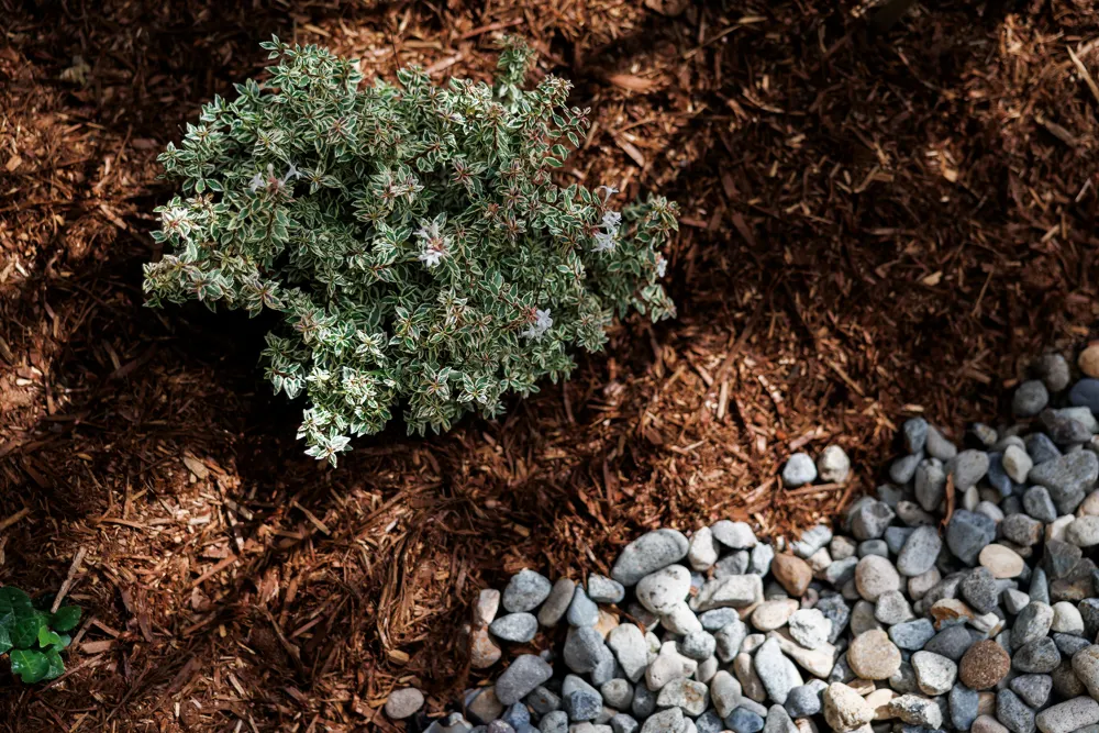 光と風に包まれ、くつろぎの2階リビング